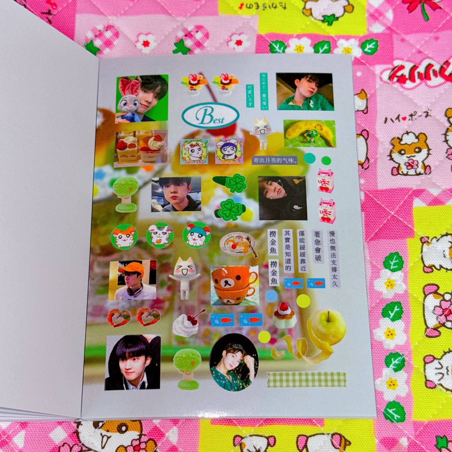 Sticker Book ♡ 37 pages