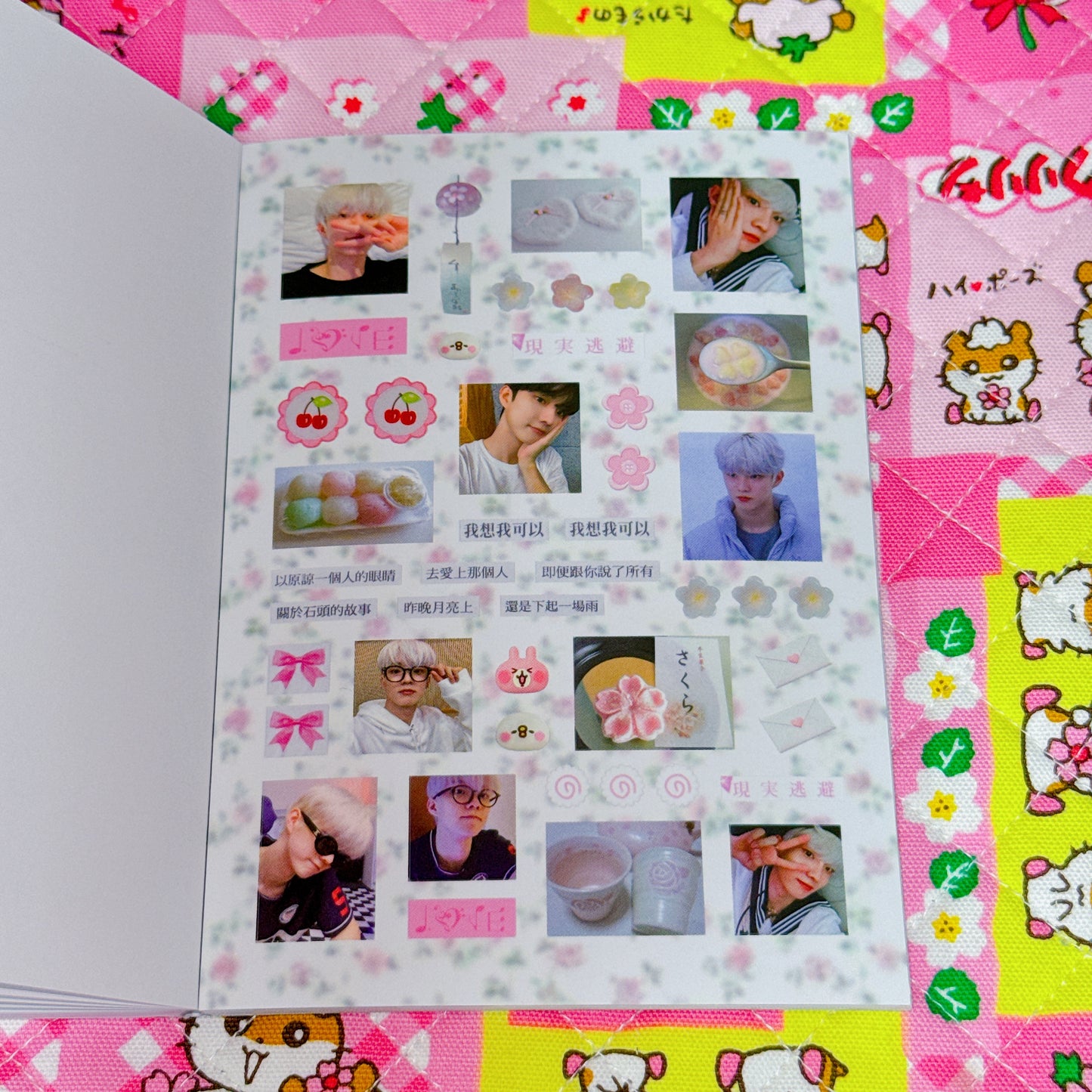 Sticker Book ♡ 37 pages