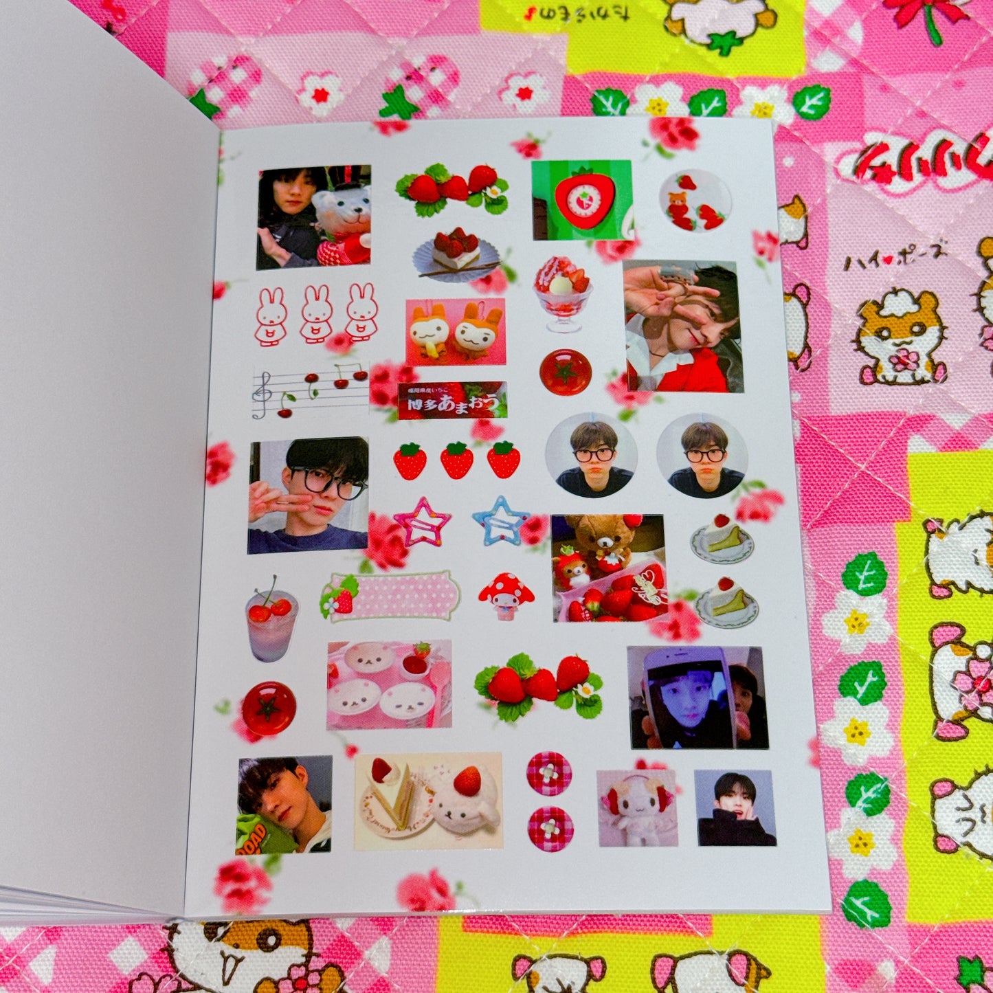 Sticker Book ♡ 37 pages