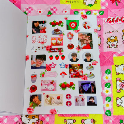 Sticker Book ♡ 37 pages