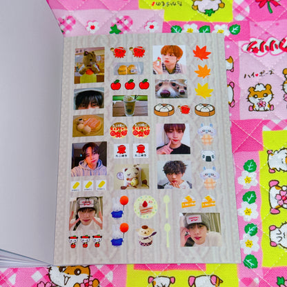Sticker Book ♡ 37 pages