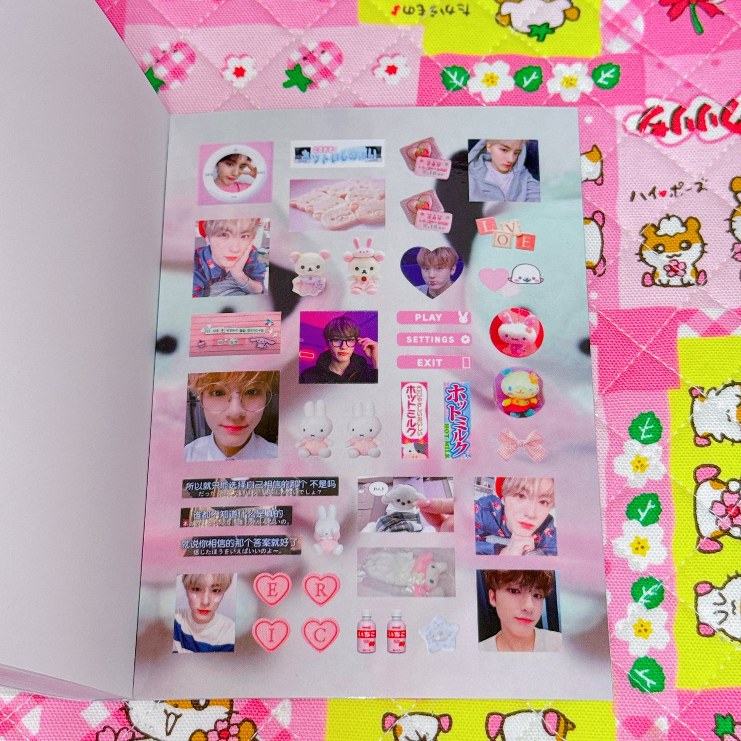 Sticker Book ♡ 37 pages
