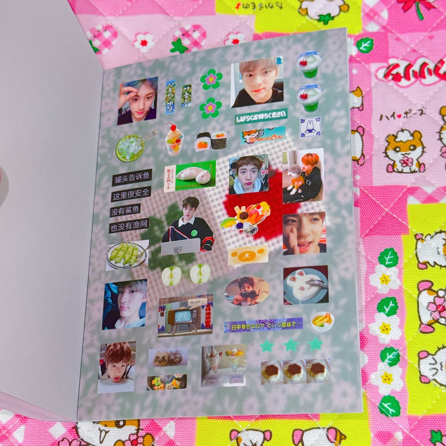 Sticker Book ♡ 37 pages