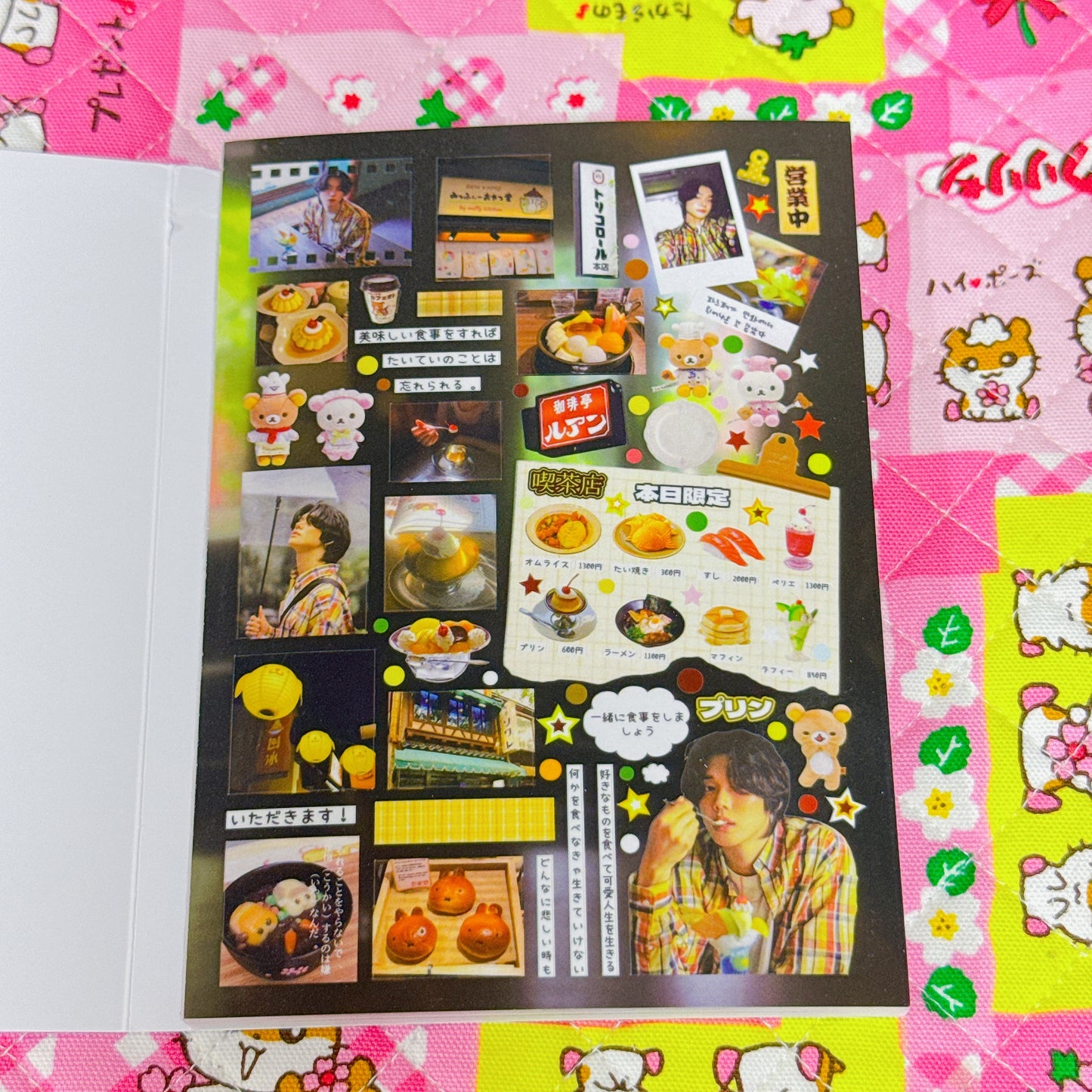 Sticker Book ♡ 30 pages