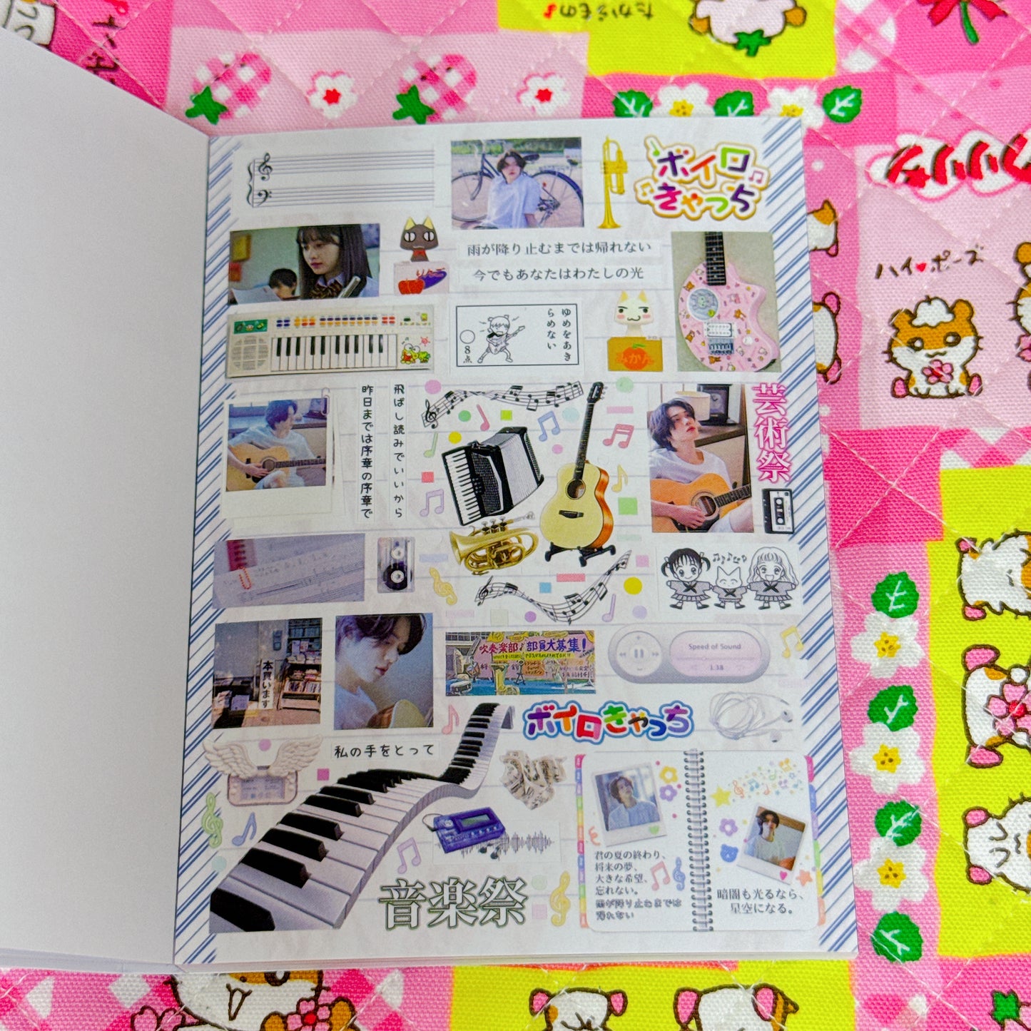 Sticker Book ♡ 30 pages