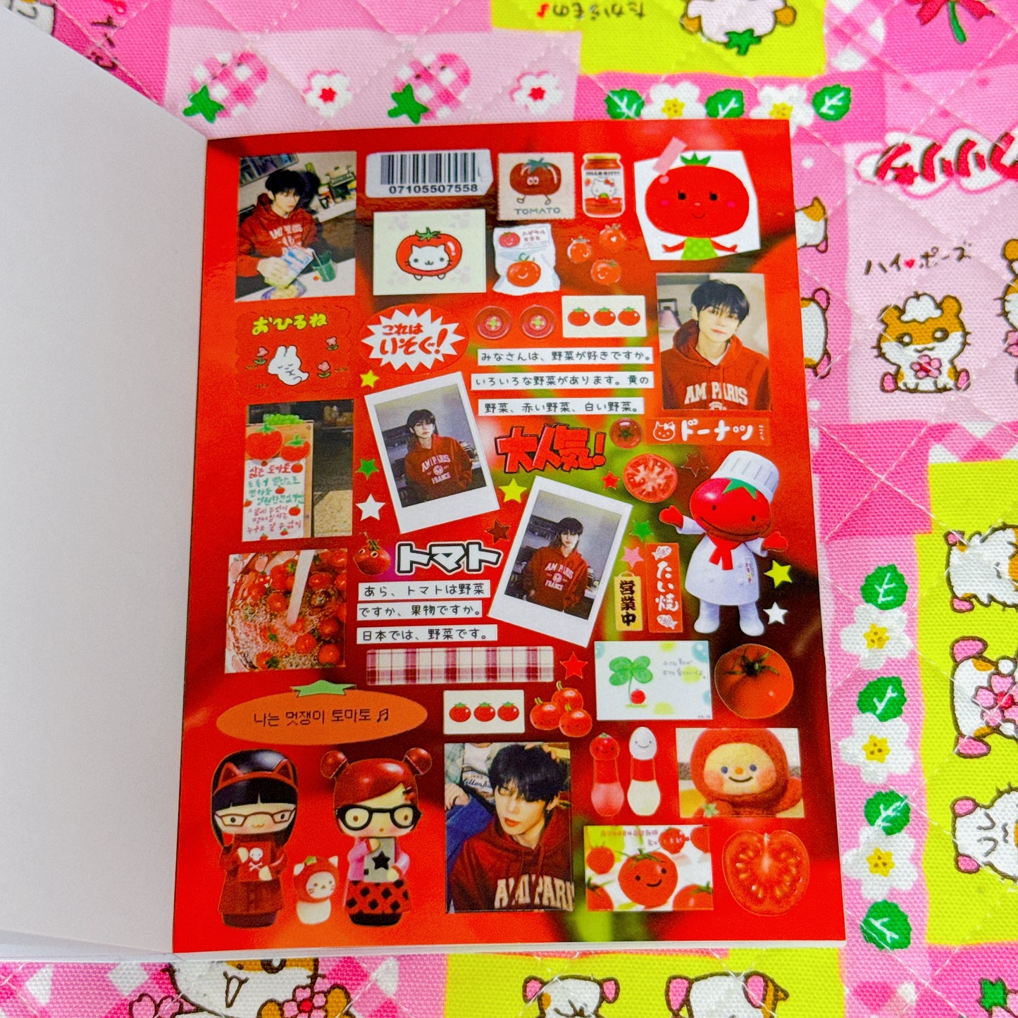 Sticker Book ♡ 30 pages