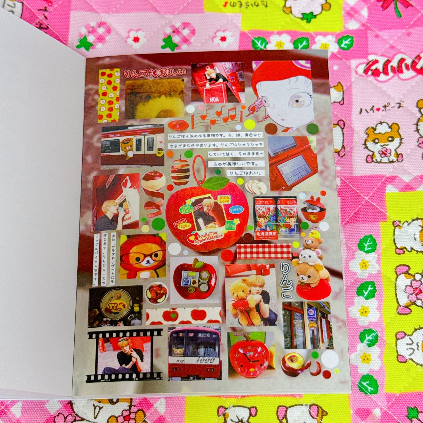 Sticker Book ♡ 30 pages