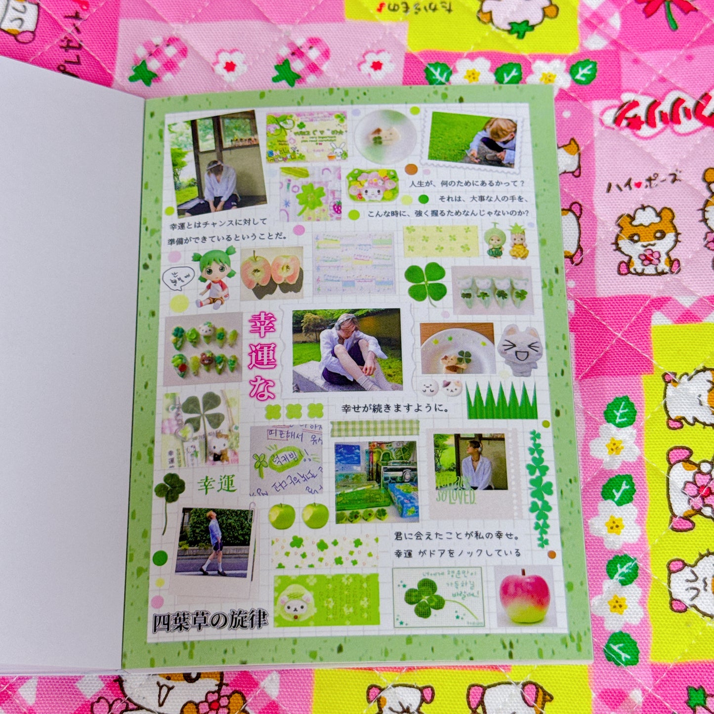 Sticker Book ♡ 30 pages