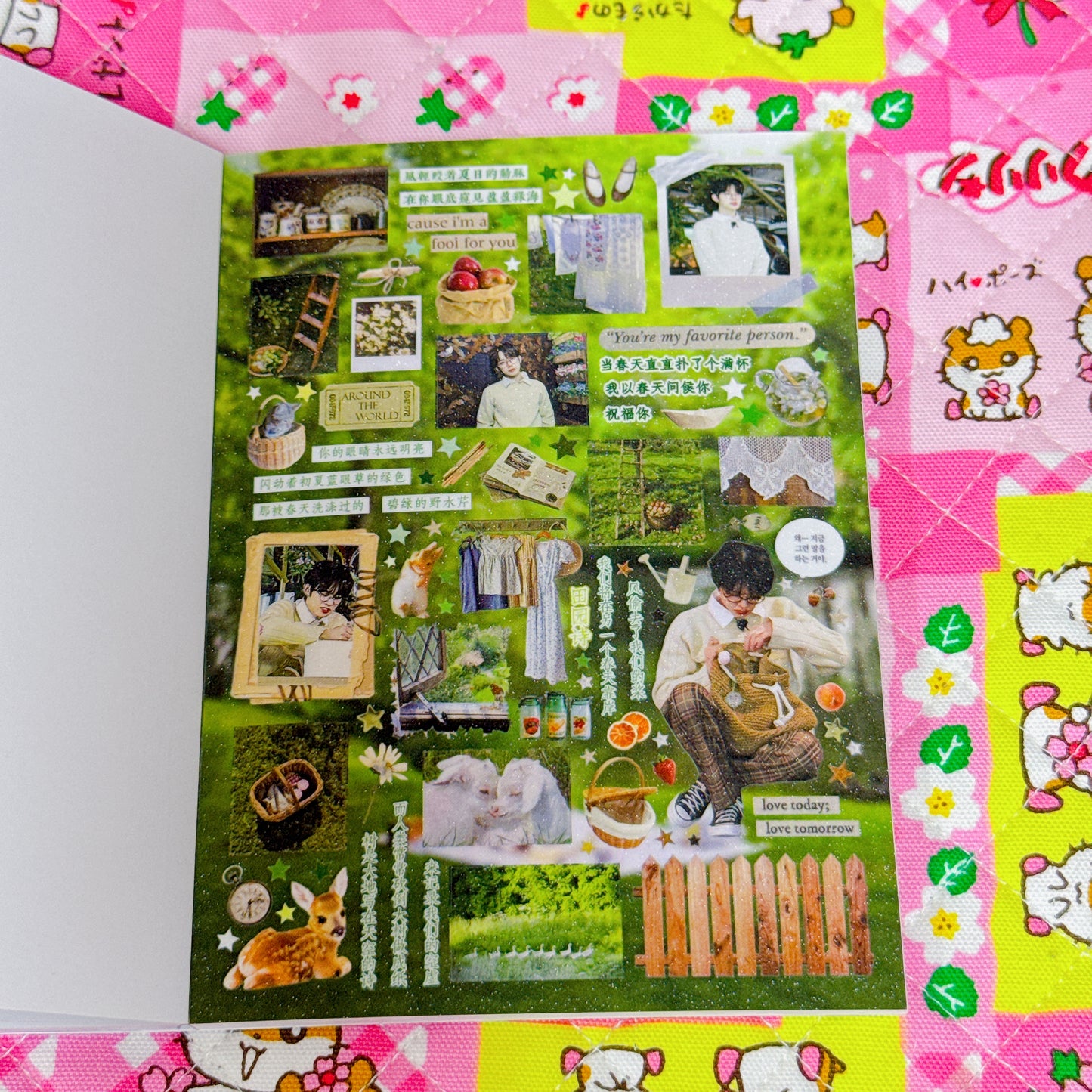 Sticker Book ♡ 30 pages