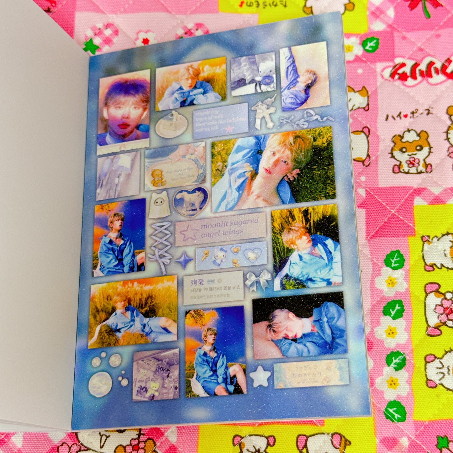 Sticker Book ♡ 20 pages