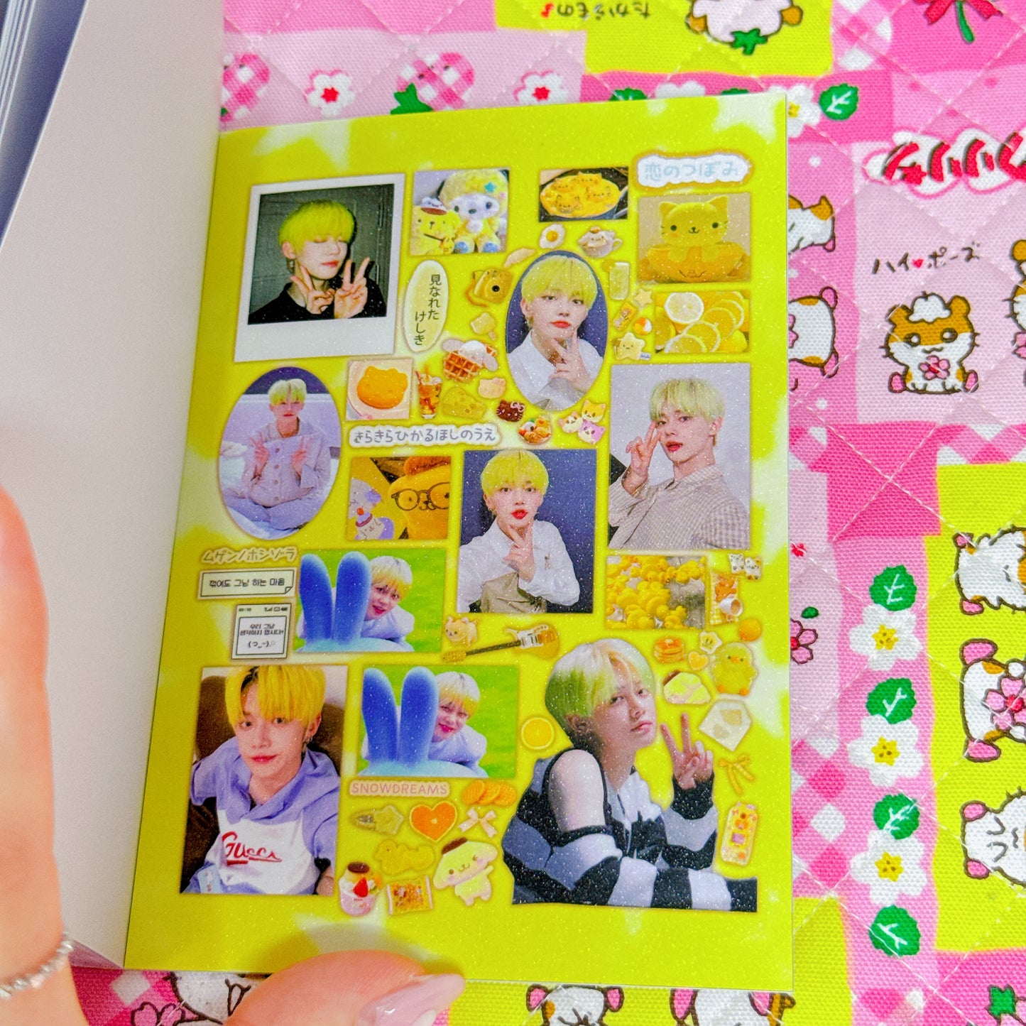 Sticker Book ♡ 20 pages