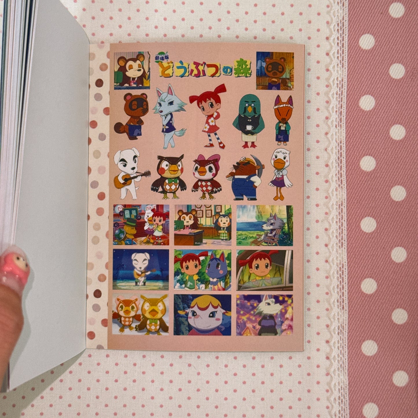 Sticker Book ♡ 30 pages