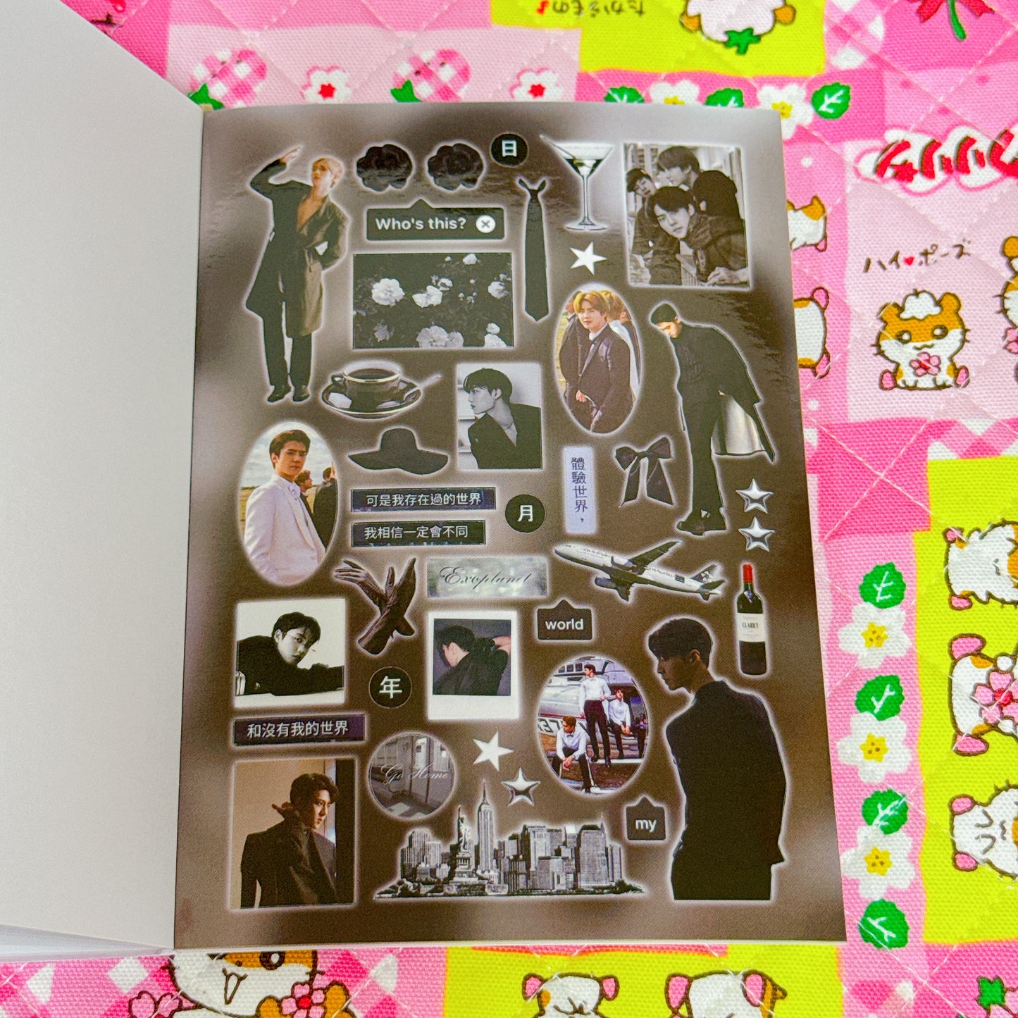Sticker Book ♡ 36 pages