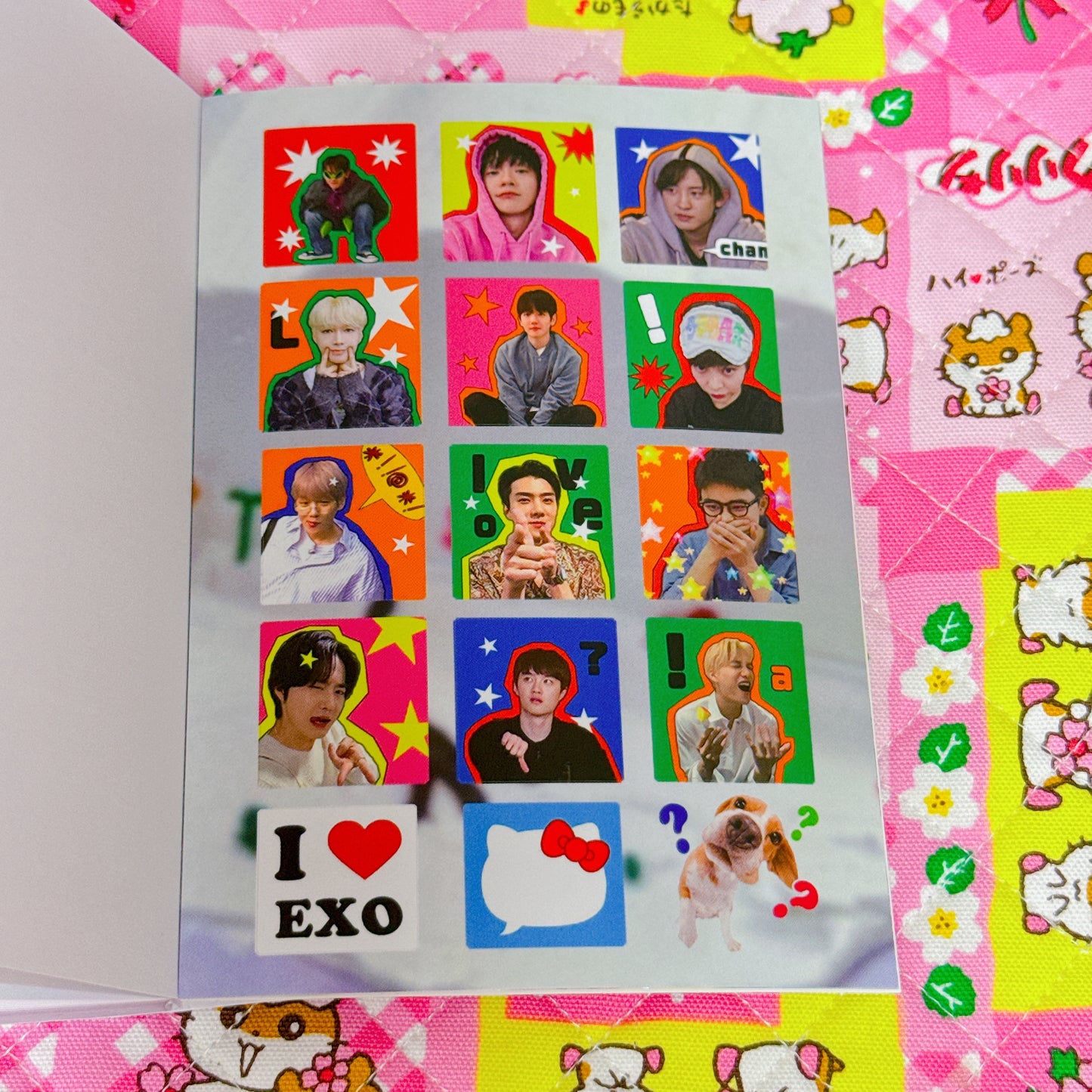 Sticker Book ♡ 36 pages