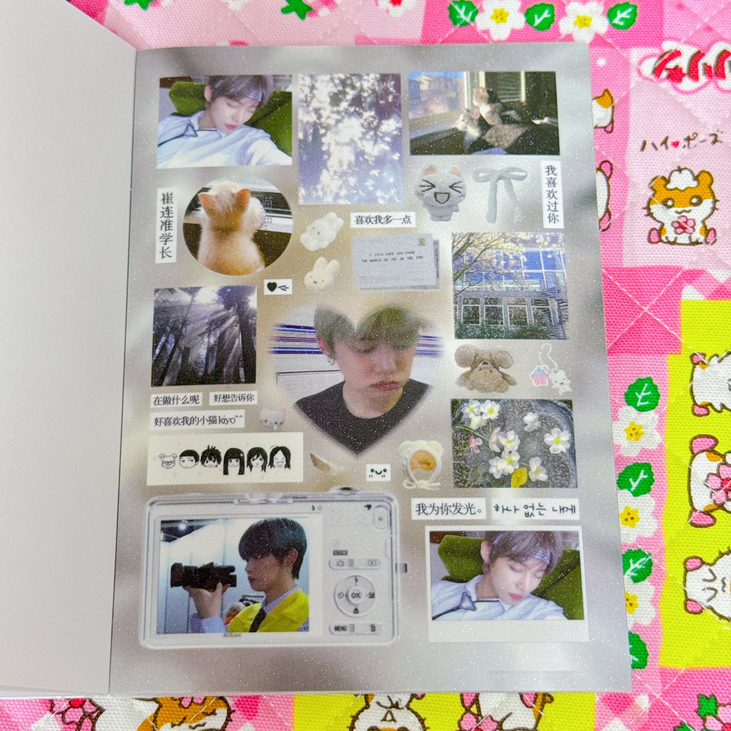 Sticker Book ♡ 30 pages