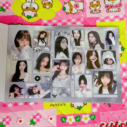 Sticker Book ♡ 30 pages