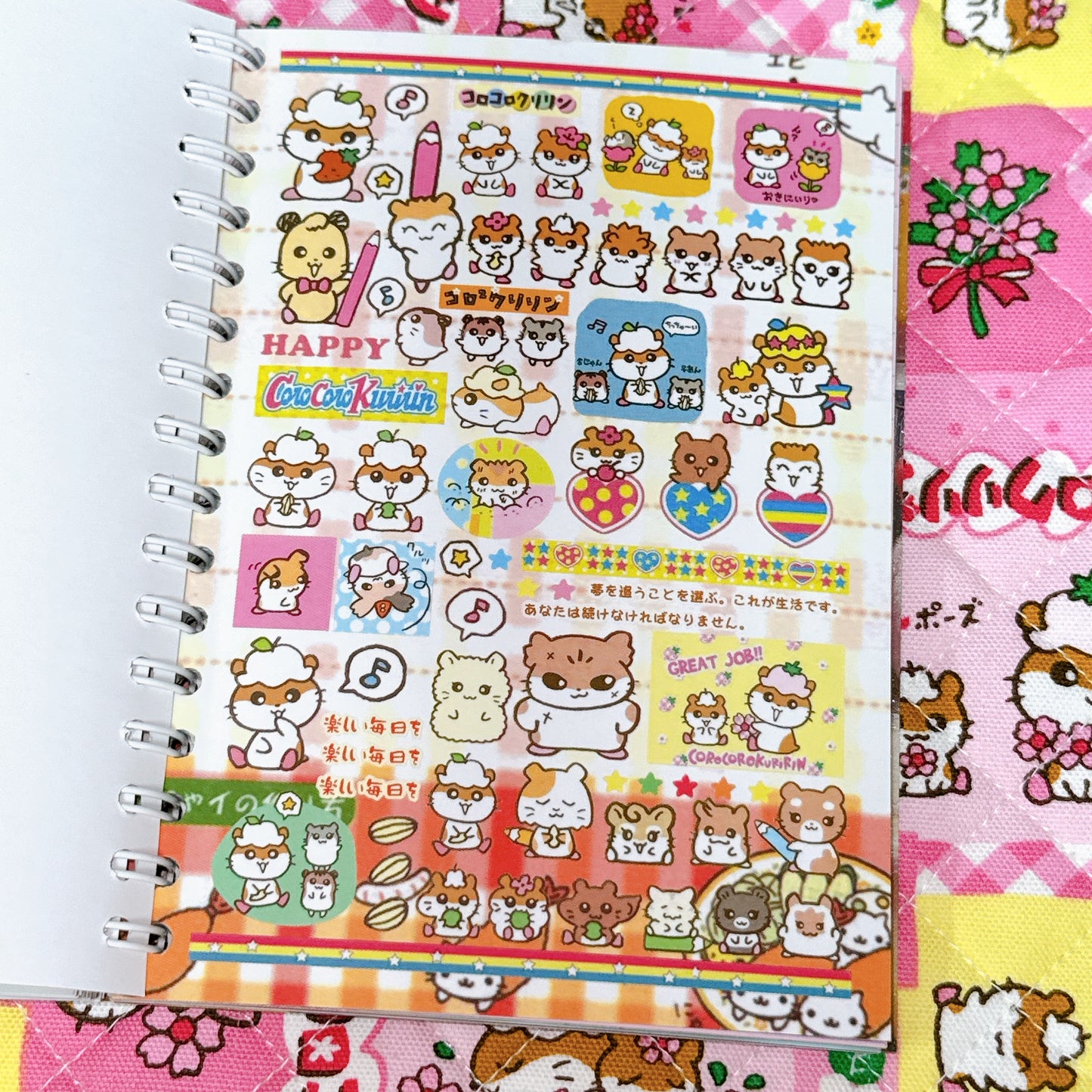 Sticker Book ♡ 40 pages