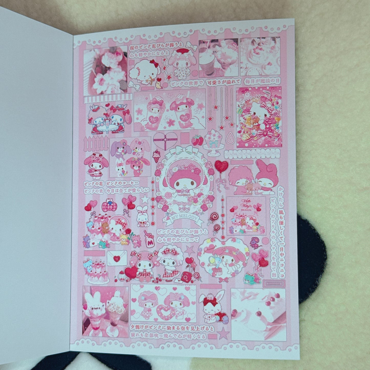 Sticker Book ♡ 30 pages