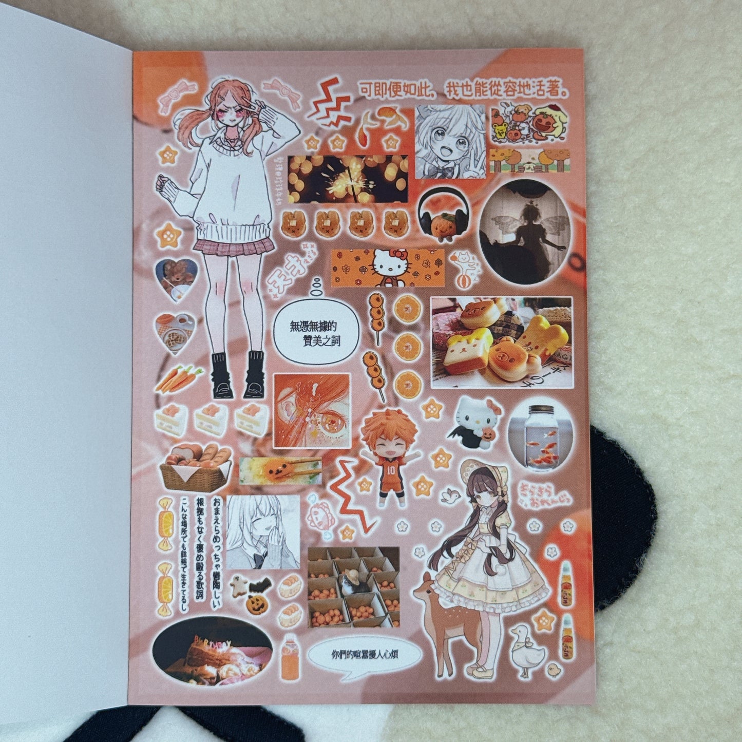 Sticker Book ♡ 22 pages