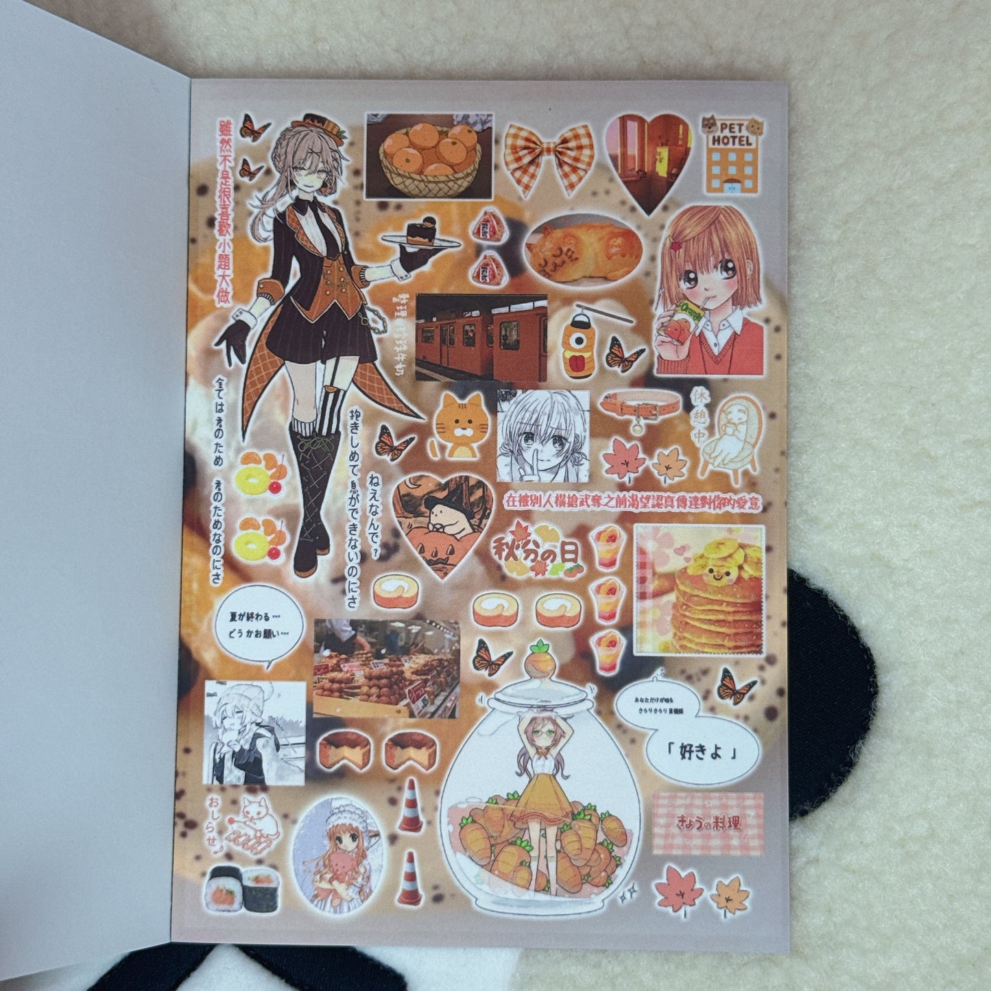 Sticker Book ♡ 22 pages