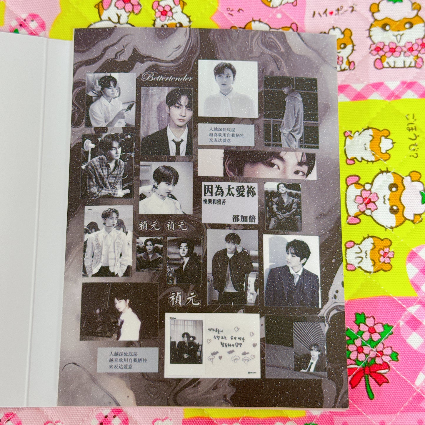 Sticker Book ♡ 40 pages