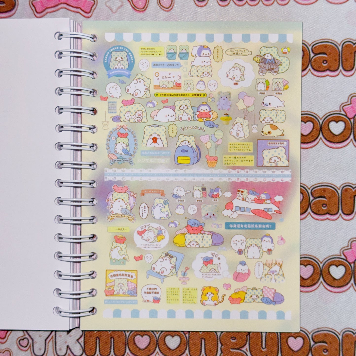 Sticker Book ♡  32 pages