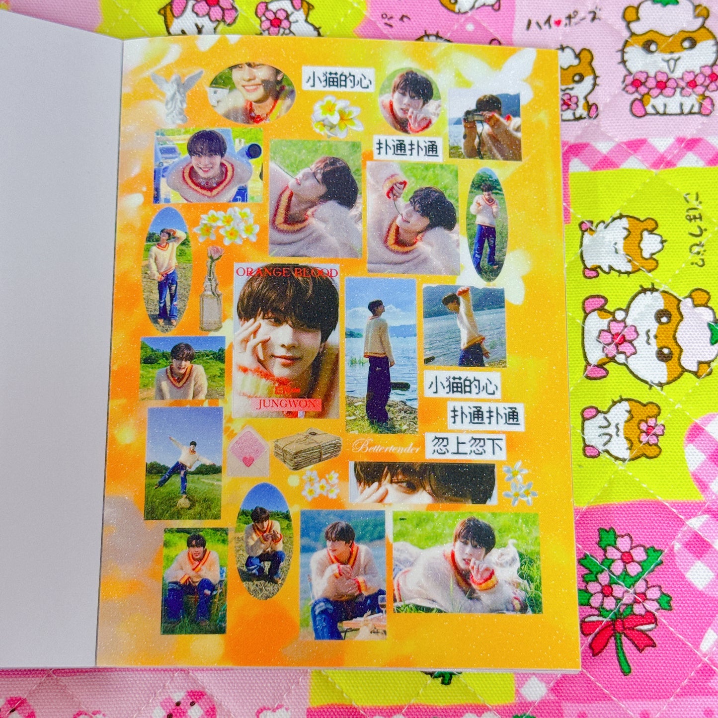 Sticker Book ♡ 40 pages