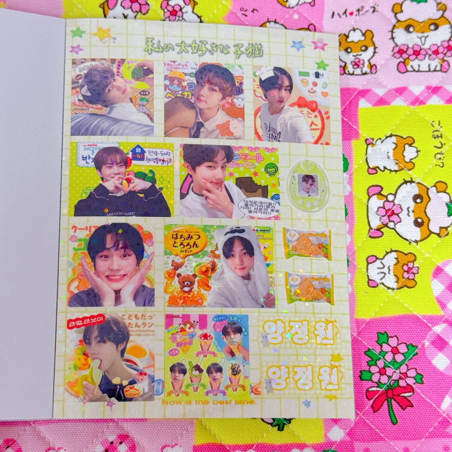 Sticker Book ♡ 40 pages
