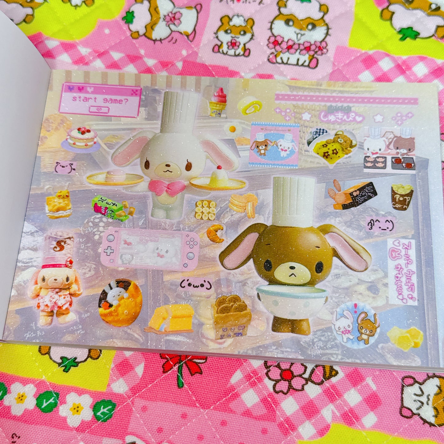 Sticker Book ♡ 30 pages