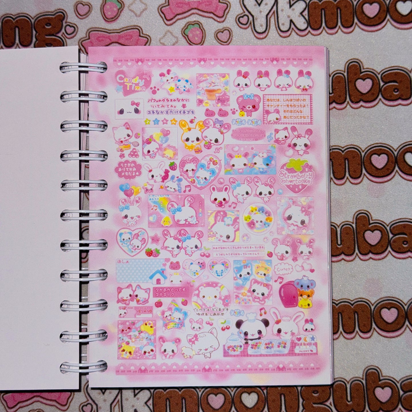 Sticker Book ♡  45 pages