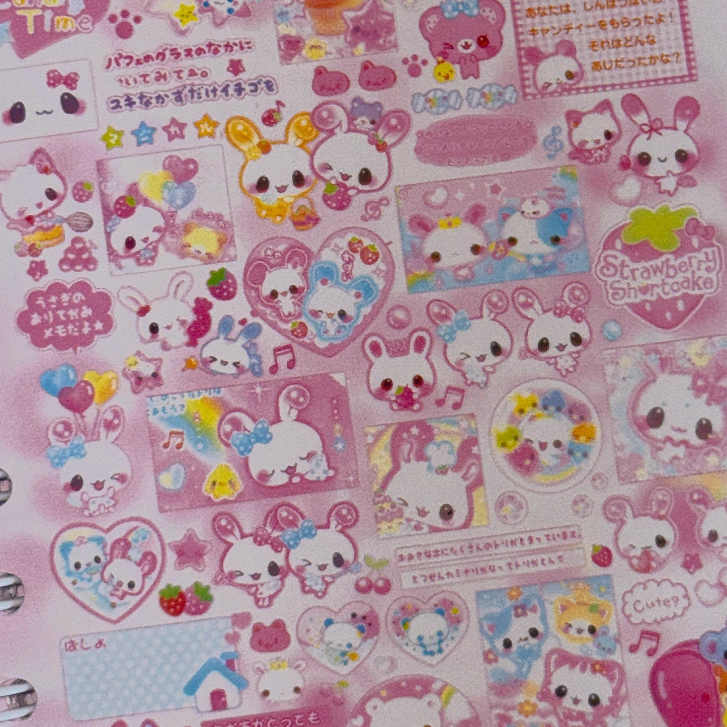 Sticker Book ♡  45 pages