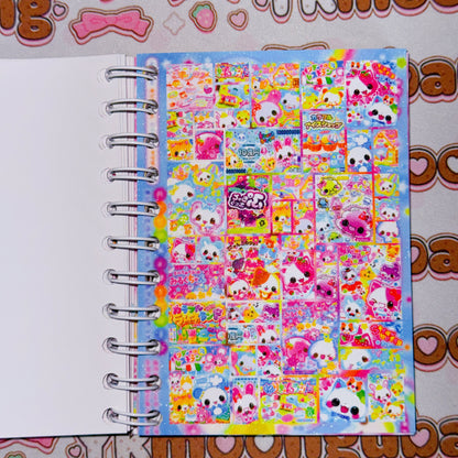 Sticker Book ♡  40 pages