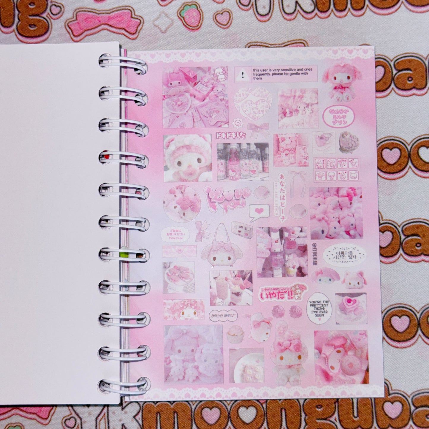 Sticker Book ♡  40 pages