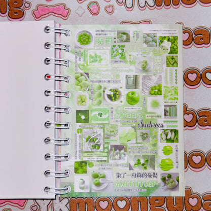 Sticker Book ♡  40 pages