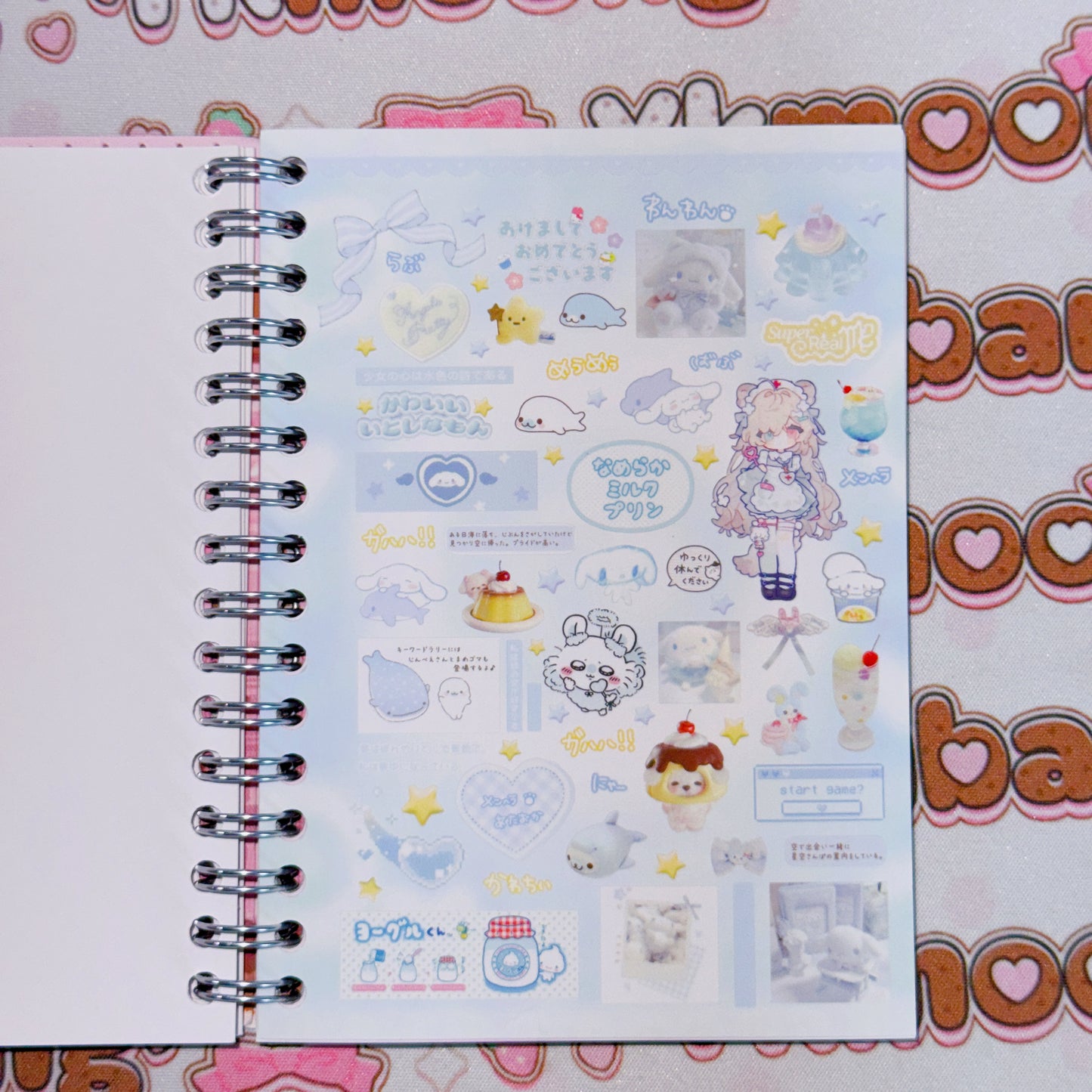 Sticker Book ♡  22 pages