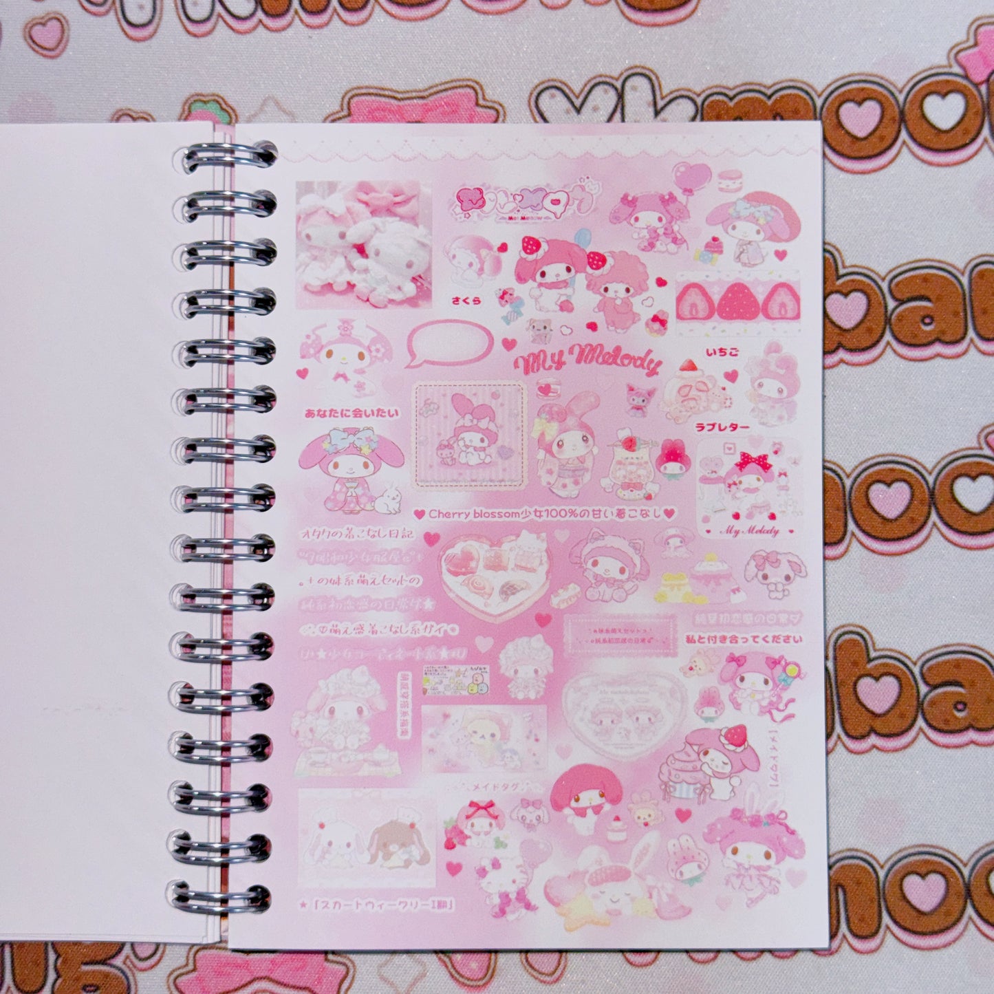 Sticker Book ♡  22 pages