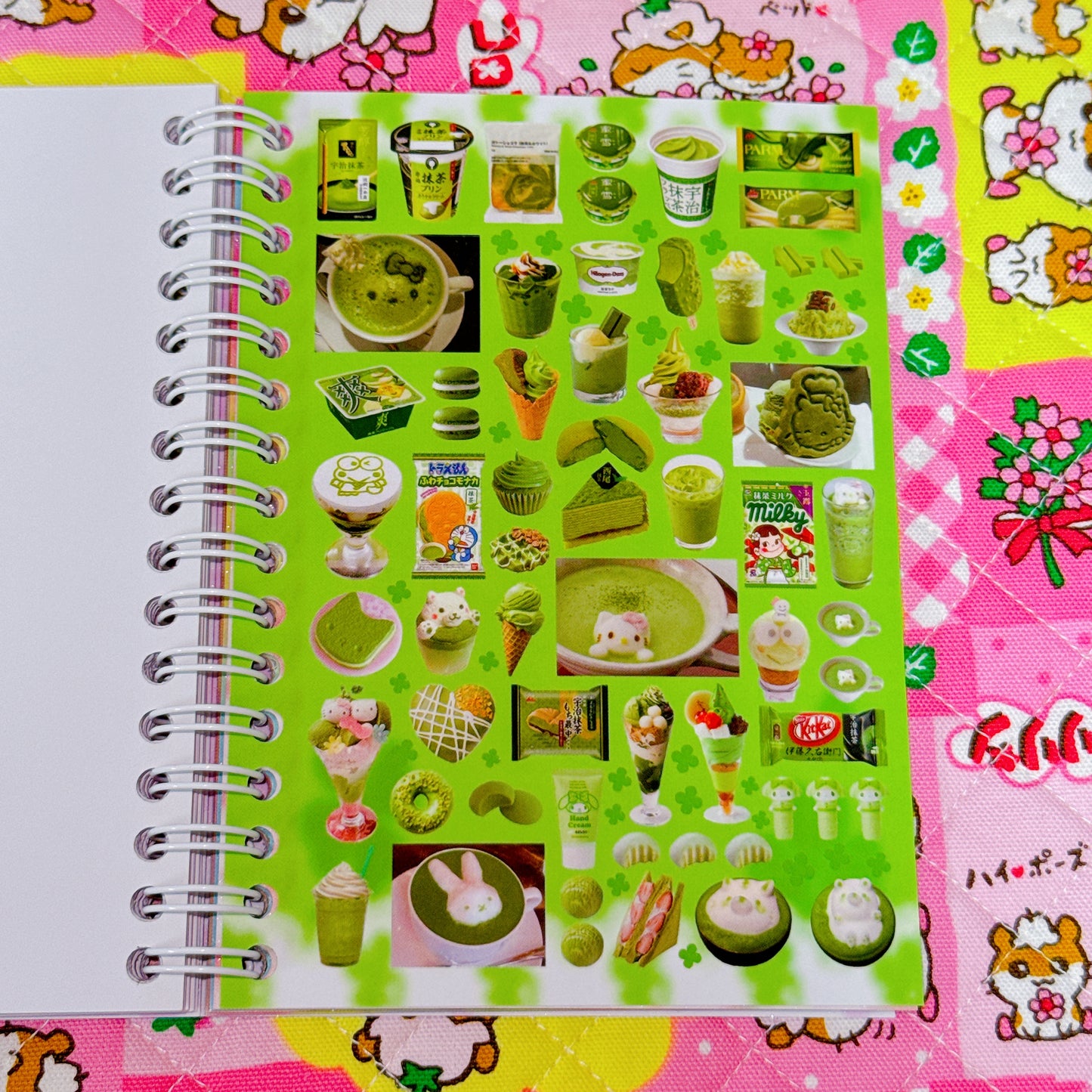 Sticker Book ♡ 30 pages