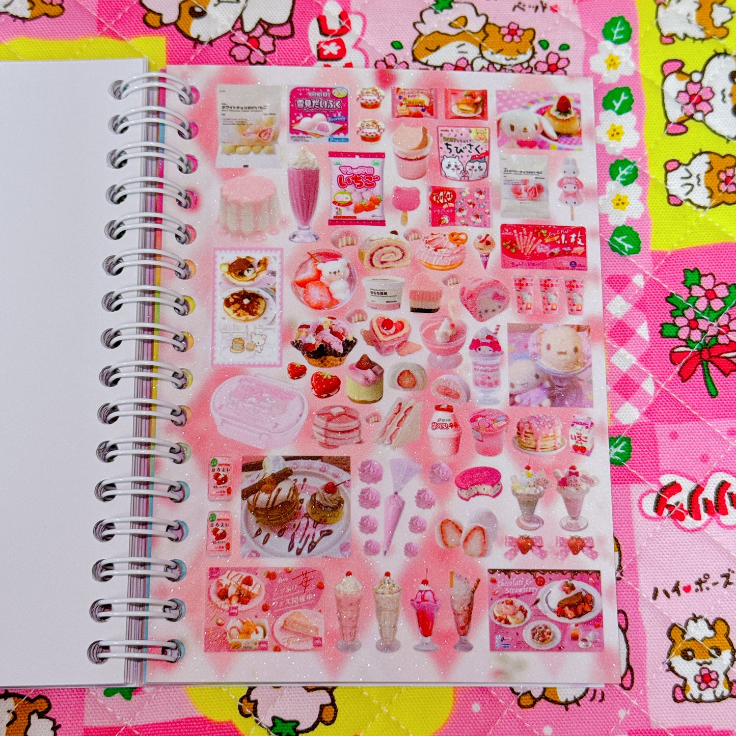 Sticker Book ♡ 30 pages