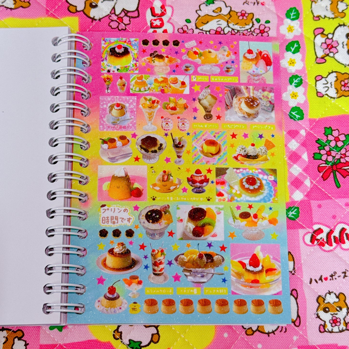 Sticker Book ♡ 30 pages