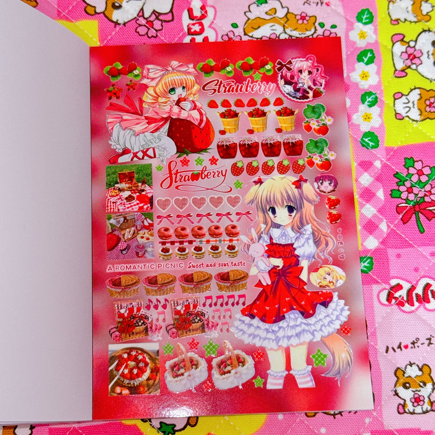 Sticker Book ♡ 30 pages