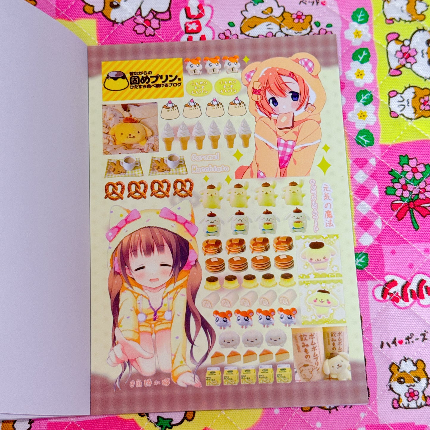 Sticker Book ♡ 30 pages