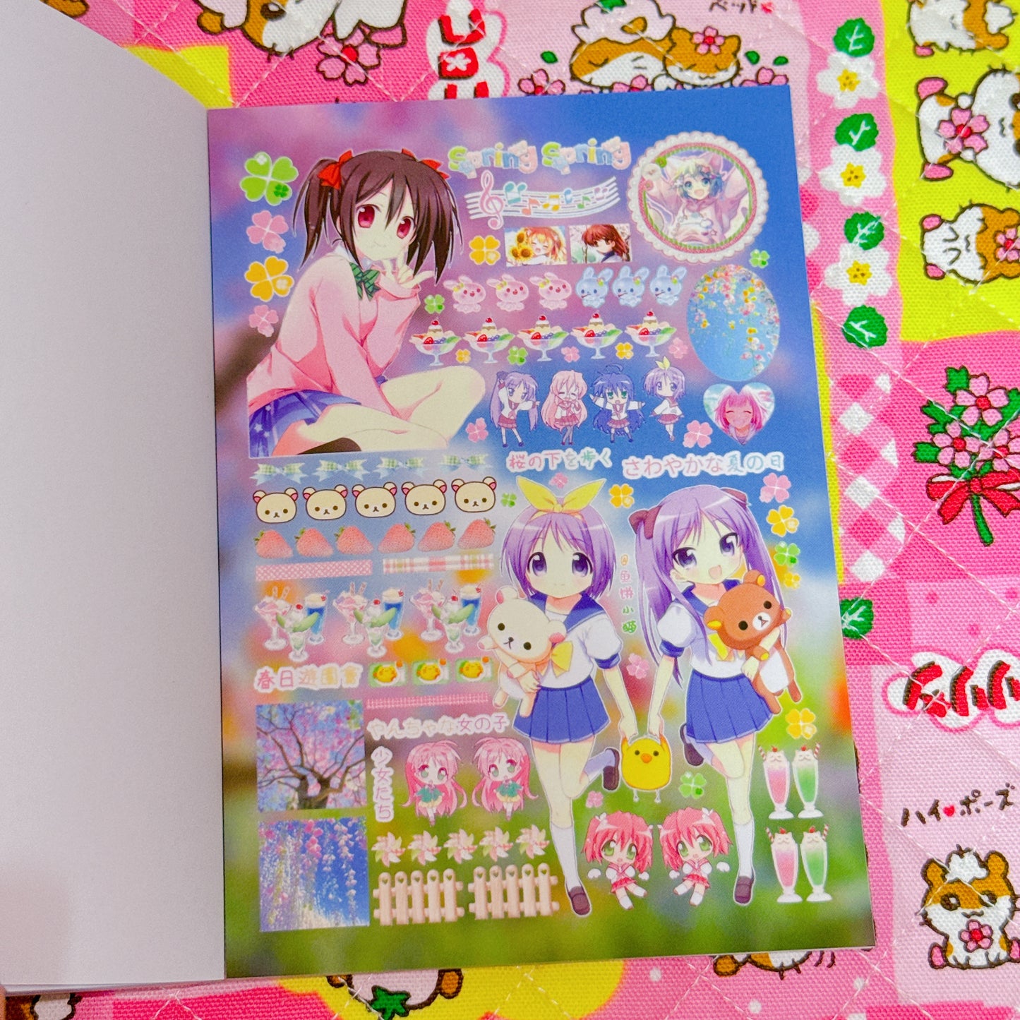 Sticker Book ♡ 30 pages