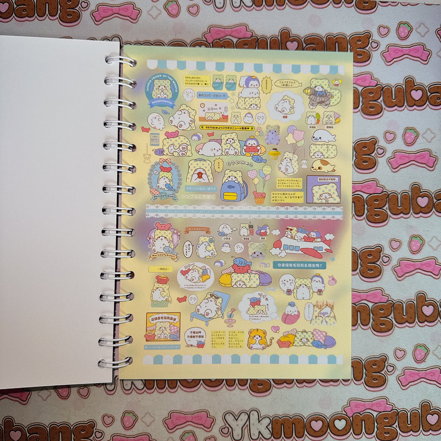 Sticker Book ♡ A5 SIZE 30 pages