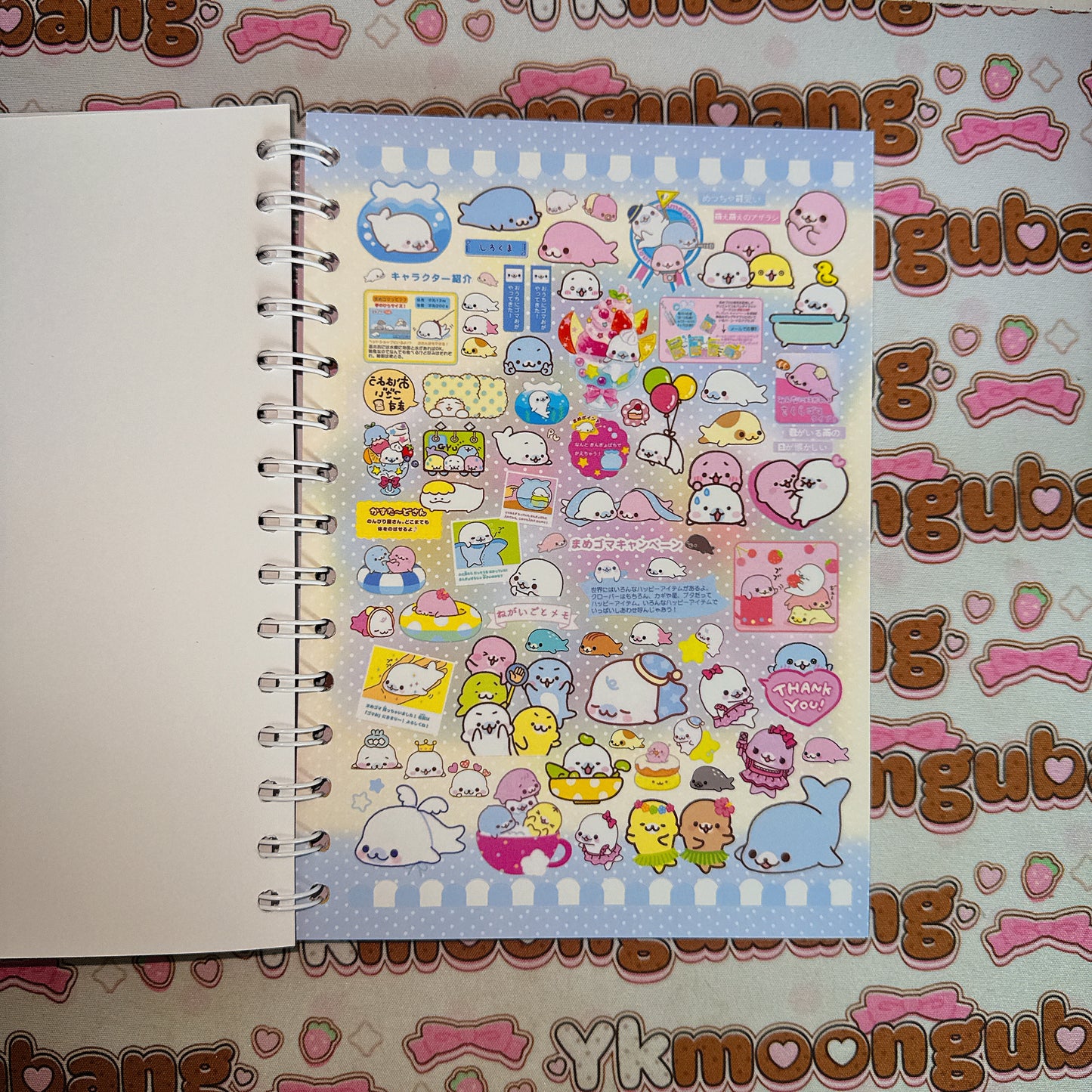 Sticker Book ♡ A5 SIZE 30 pages