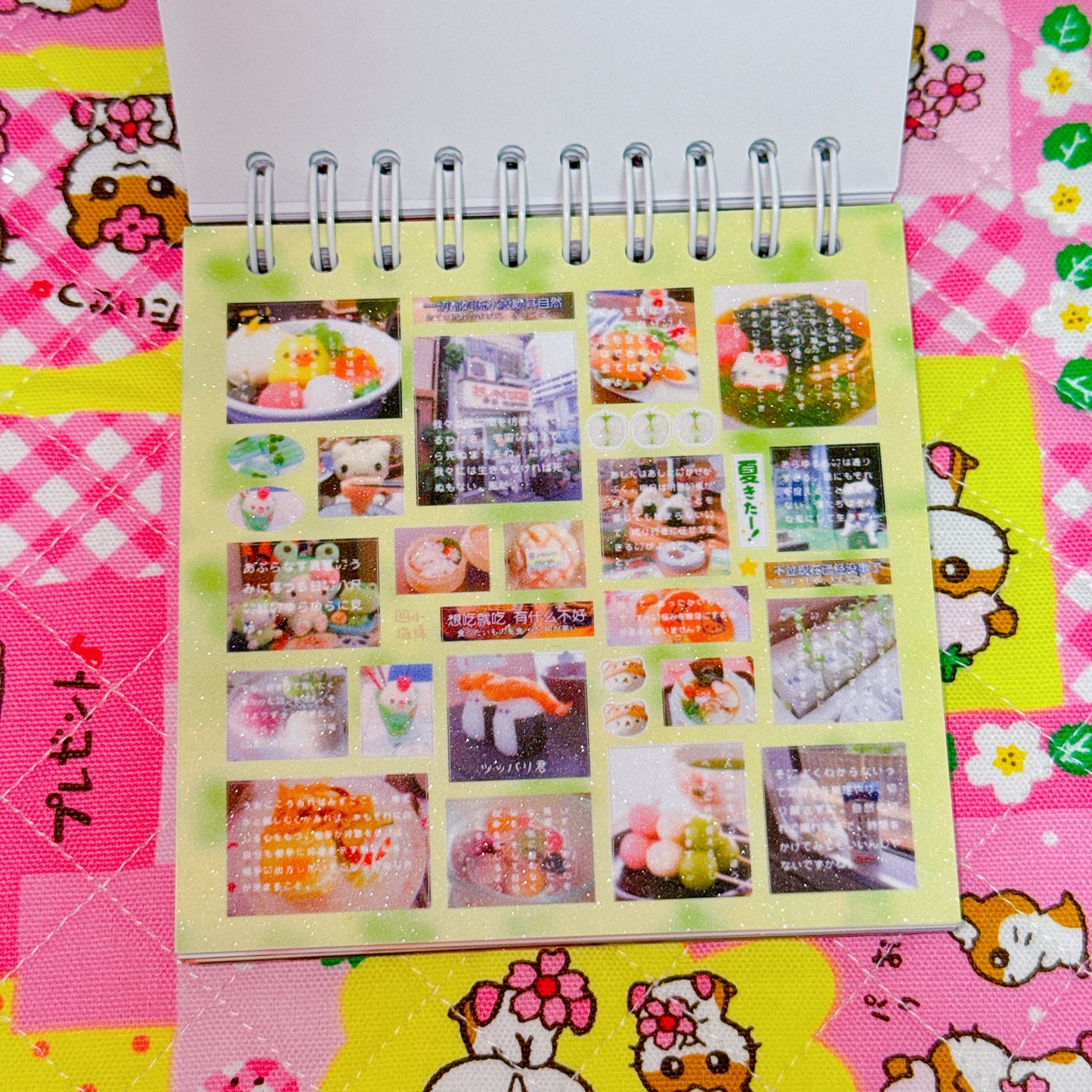 Sticker Book ♡ 35 pages