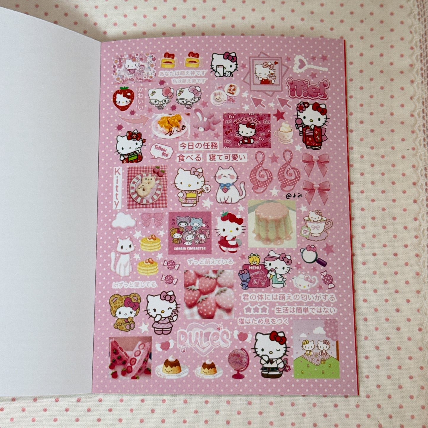 Sticker Book ♡ 30 pages