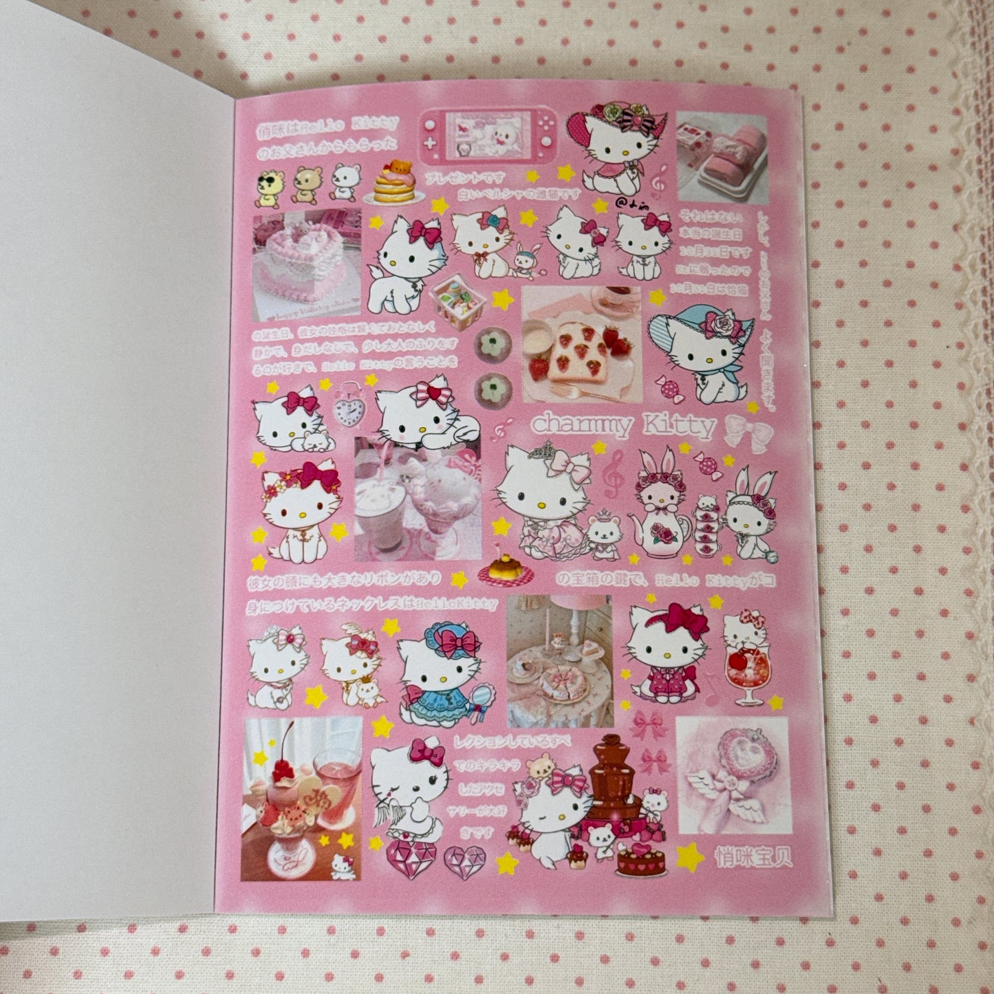Sticker Book ♡ 30 pages