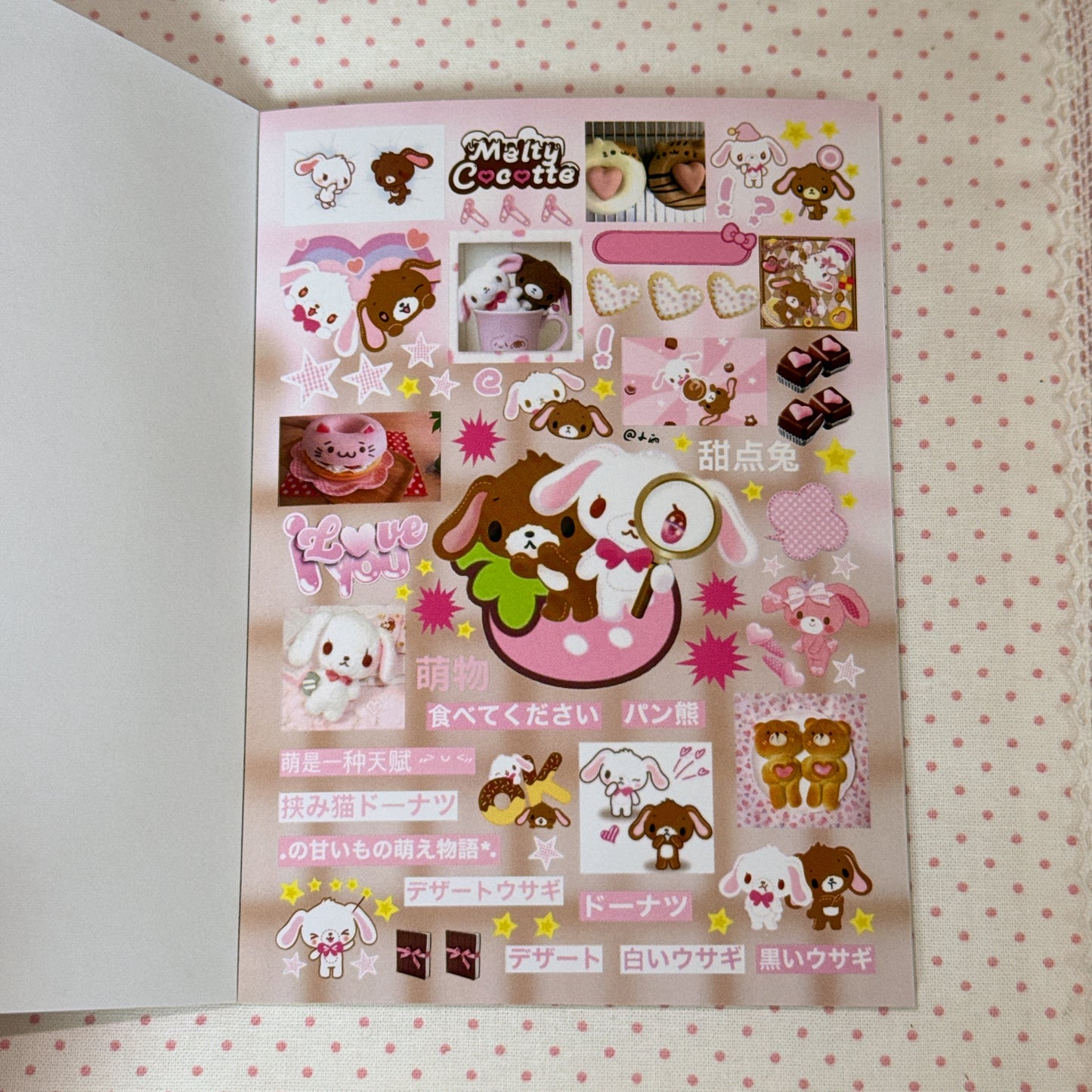 Sticker Book ♡ 30 pages