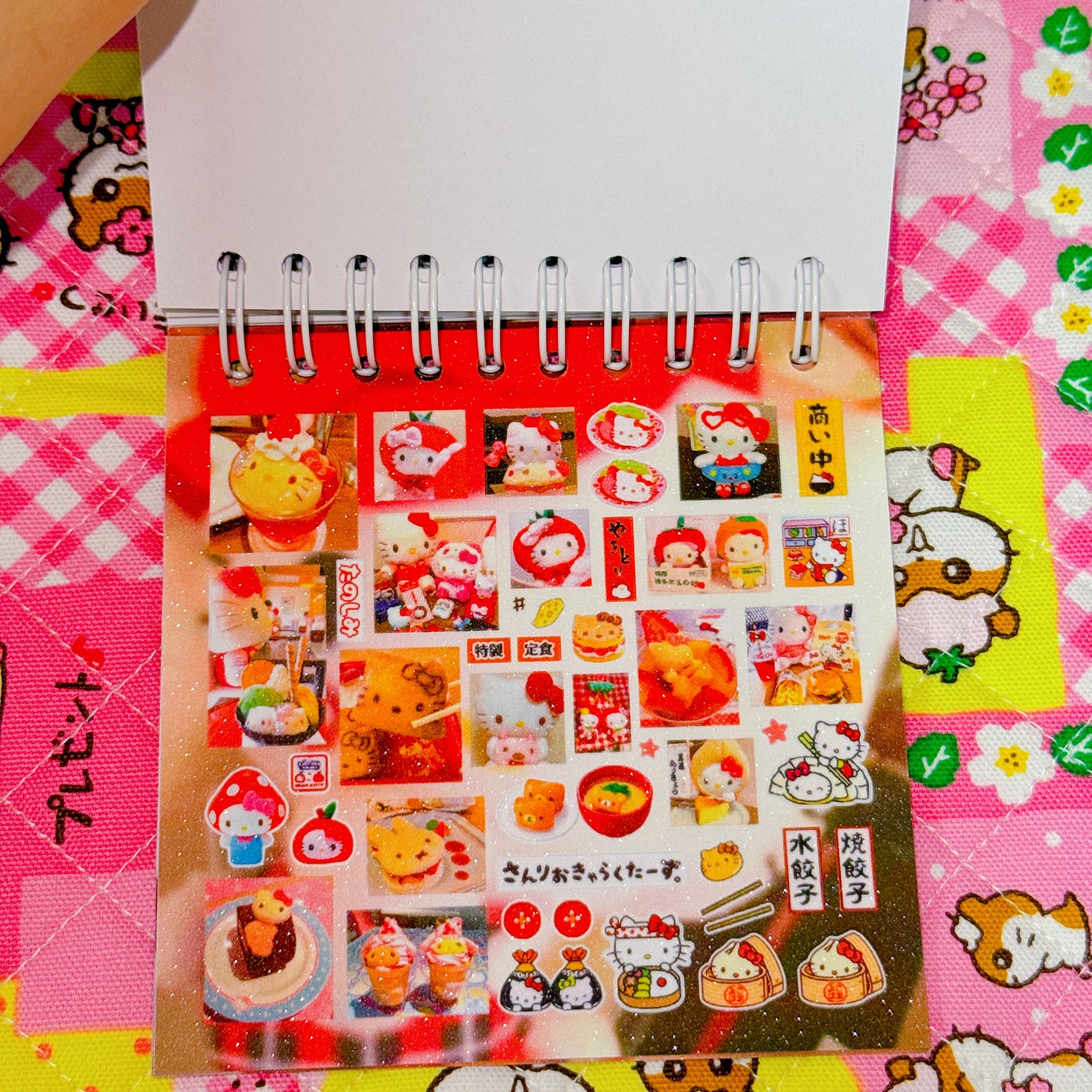 Sticker Book ♡ 35 pages