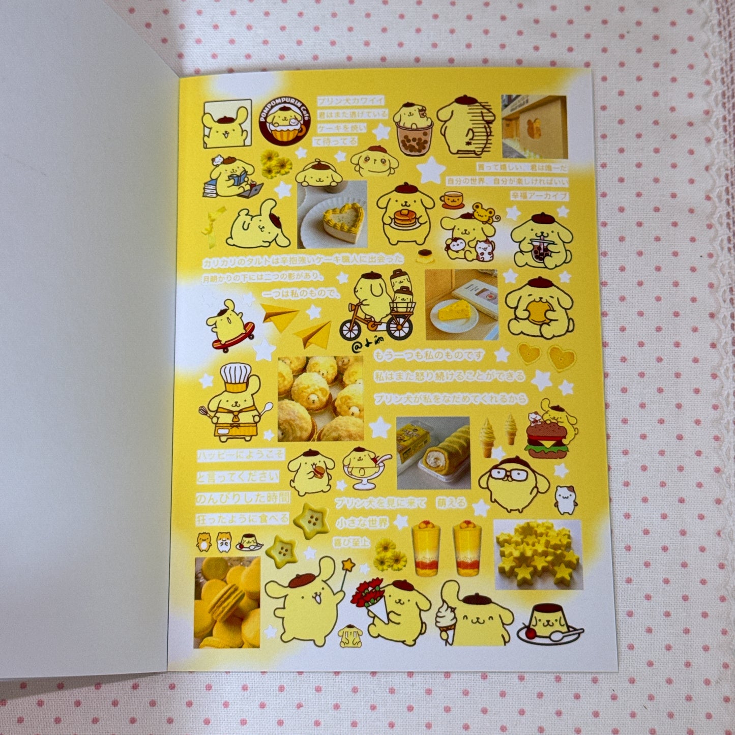 Sticker Book ♡ 30 pages